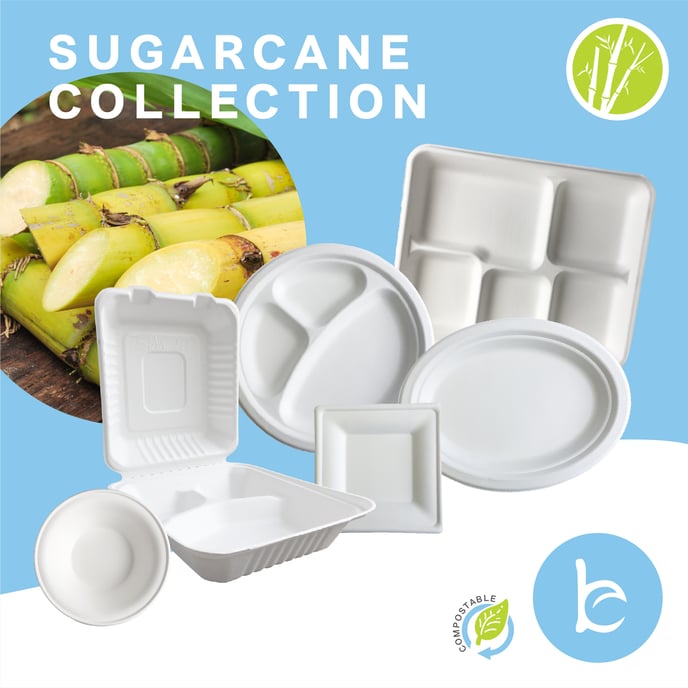 Sugarcane Collection